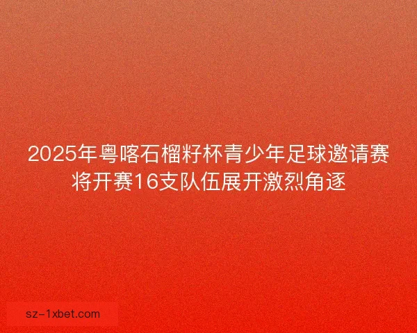 2025年粤喀石榴籽杯青少年足球邀请赛将开赛16支队伍展开激烈角逐