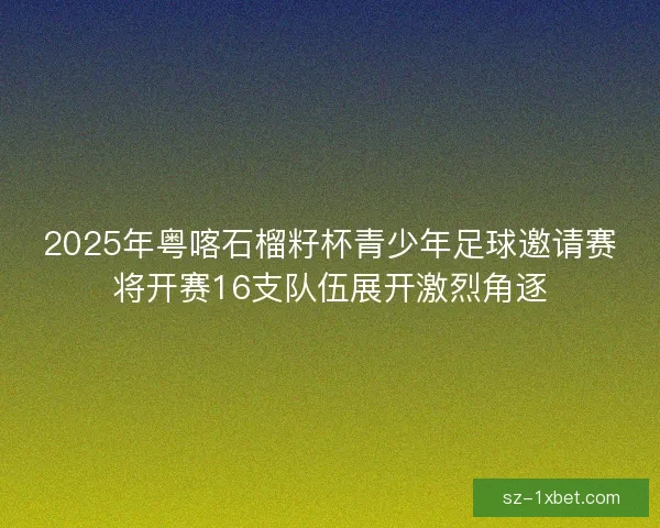 2025年粤喀石榴籽杯青少年足球邀请赛将开赛16支队伍展开激烈角逐